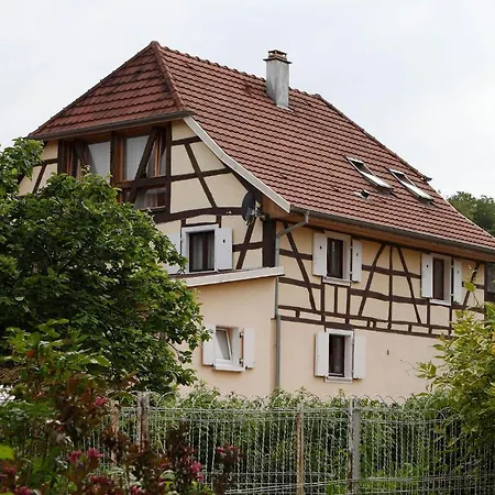 Maison d'hôtes Chat Au Grumbach Mooslargue