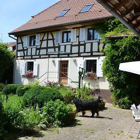 Chat Au Grumbach *