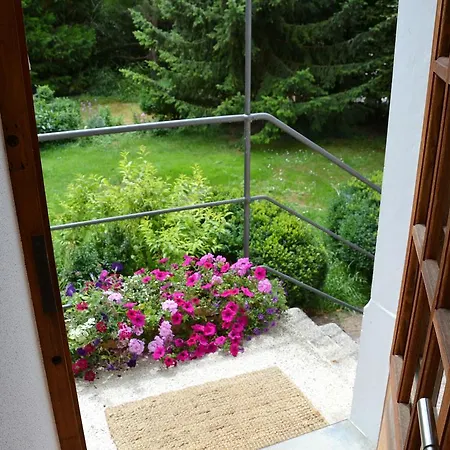 Chat Au Grumbach Maison d'hôtes