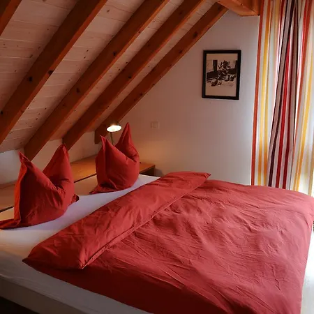 Chat Au Grumbach Maison d'hôtes Mooslargue