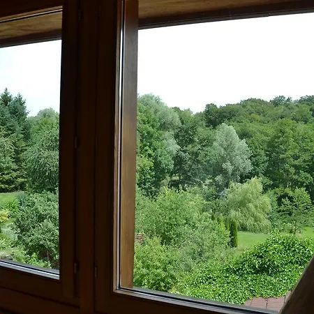 Chat Au Grumbach Maison d'hôtes *